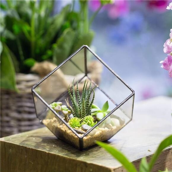 NCYP 3.93 Inches Geometric Glass Terrarium, Small Inclined Cube Clear - Picture 3 of 7